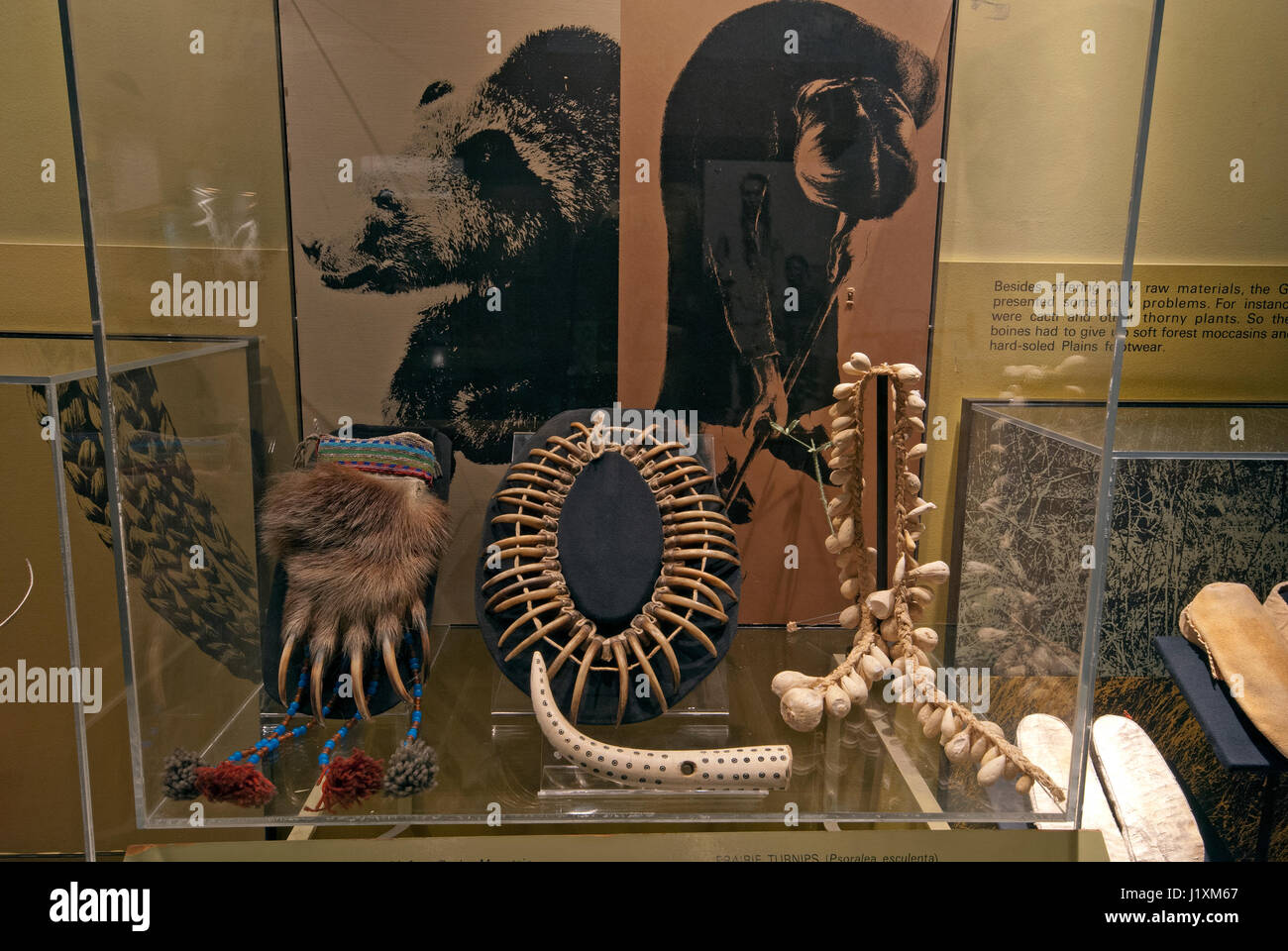Small bag and necklace with grizzly bear claws, Manitoba Museum, Winnipeg Manitoba, Canada Stock Photo