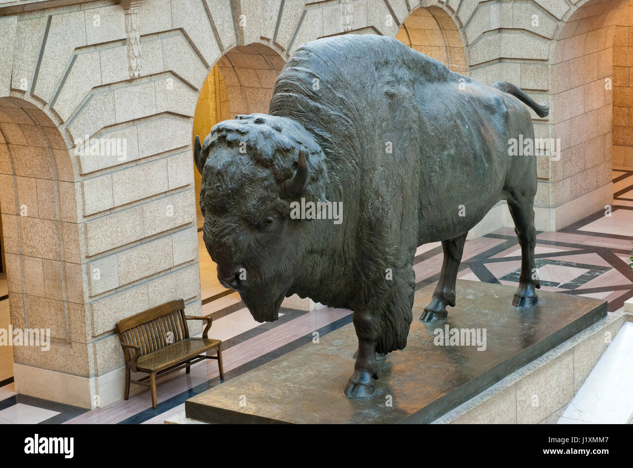 Bronze sculpture of american bison (Bison bison) by Georges Gardet in the Legislative Building, Winnipeg, Manitoba, Canada Stock Photo