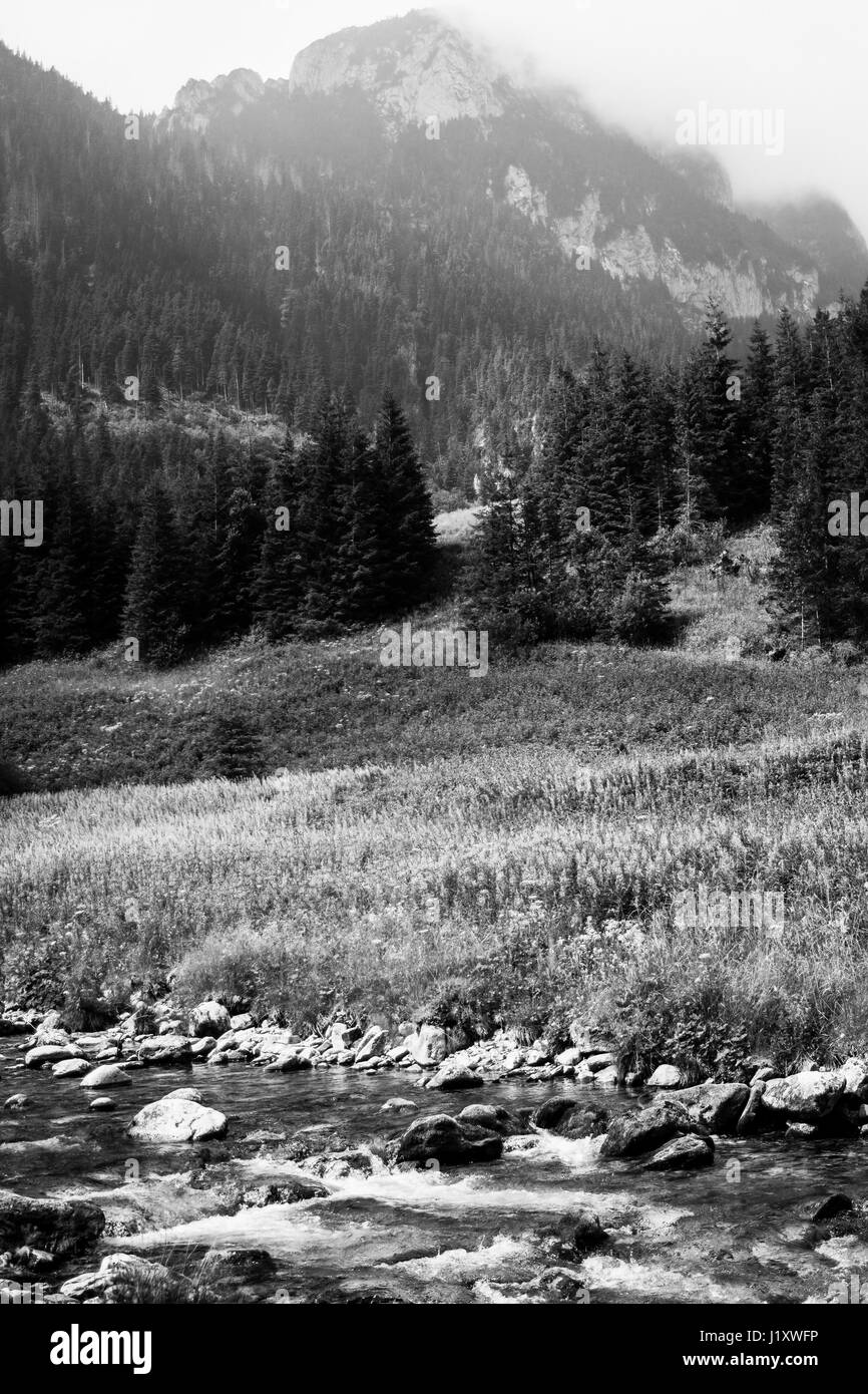 Black and white mountain wilderness landscape with a river in the foreground. Stock Photo