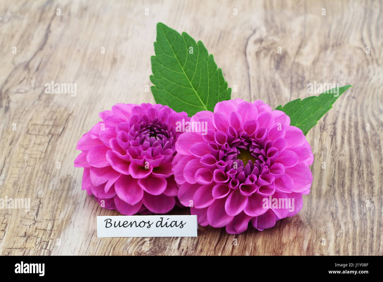 Good Morning Spanish Stock Photos Good Morning Spanish Stock