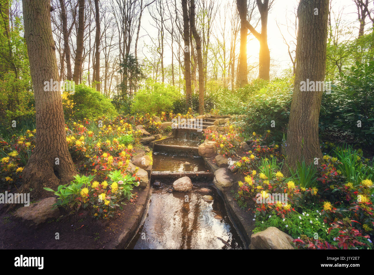 Blooming spring park with water cascade in famous Keukenhof park, Netherlands. Beautiful landscape with colorful flowers, trees with green leaves Stock Photo