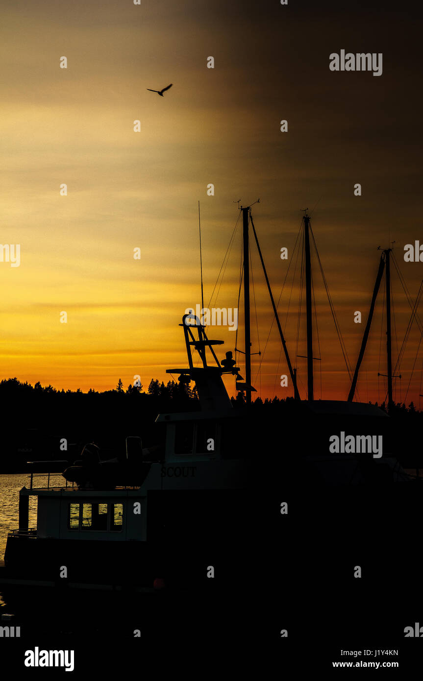Marina At Sunset Olympia Washington USA Stock Photo Alamy
