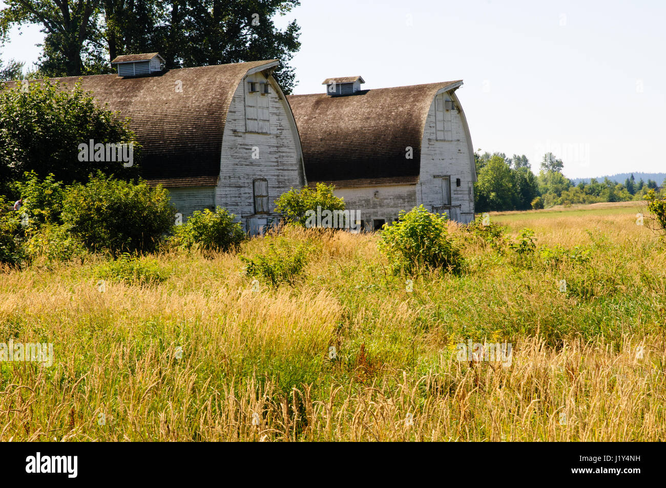 Twin barns, Nisqually National Wildlife refuge, Washington, USA Stock Photo