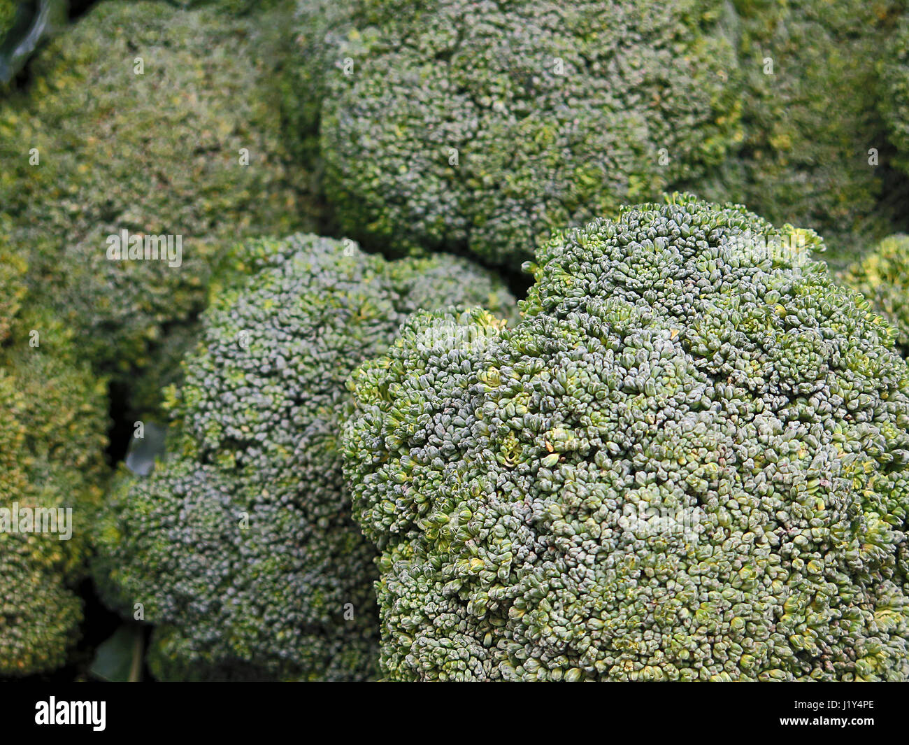 Brocoli for sale at the Farmers Market Stock Photo