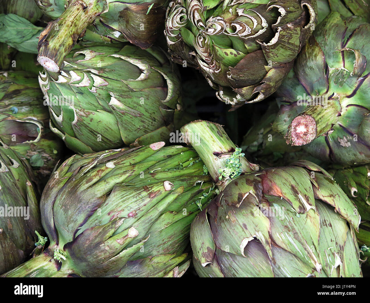 artichoke for sale at the Farmers Market Stock Photo Alamy