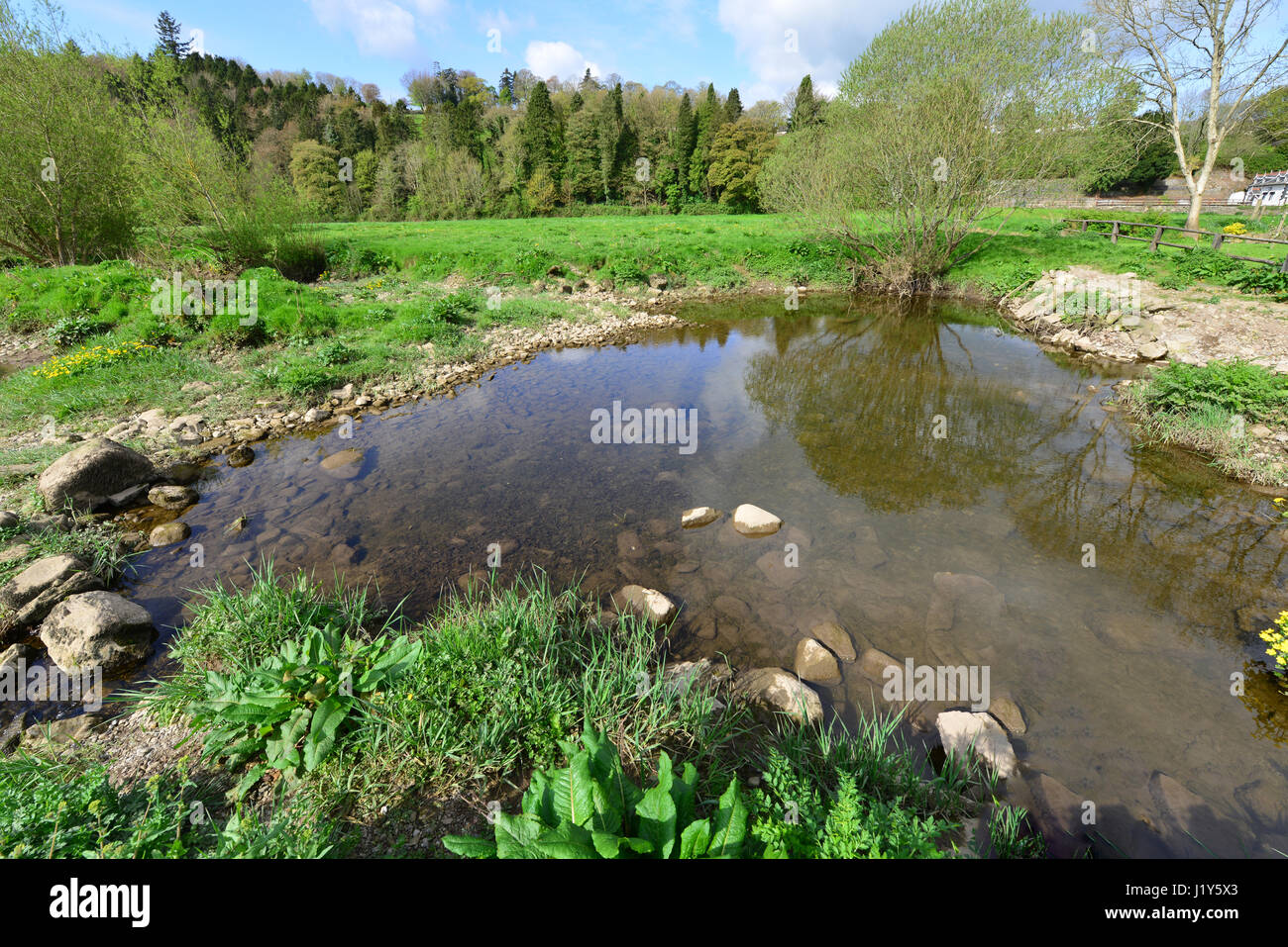 A rock pool at Inistioge in Ireland Stock Photo