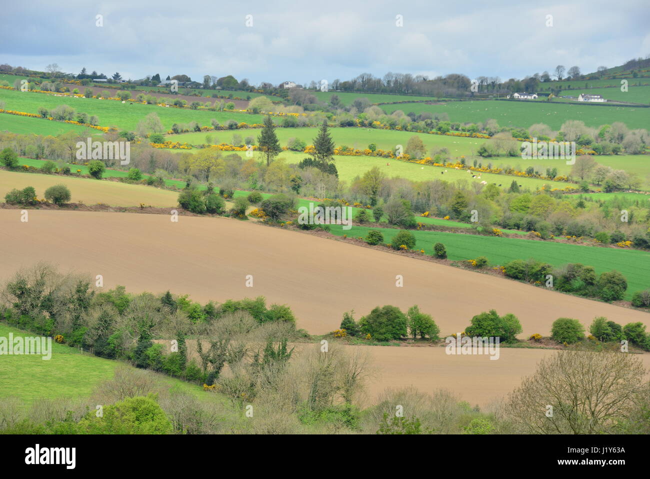 The farmland of Ireland Stock Photo