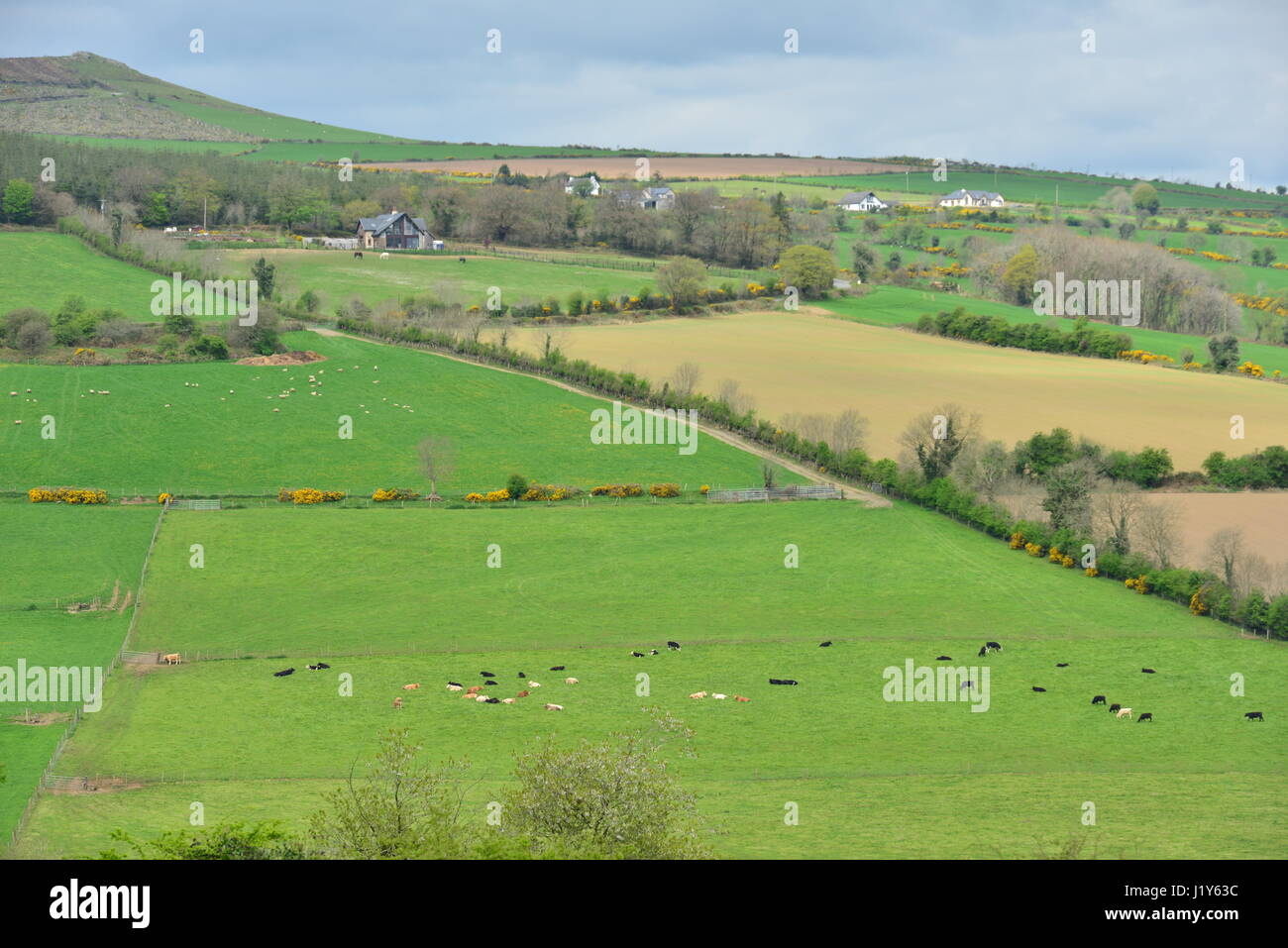 The farmland of Ireland Stock Photo