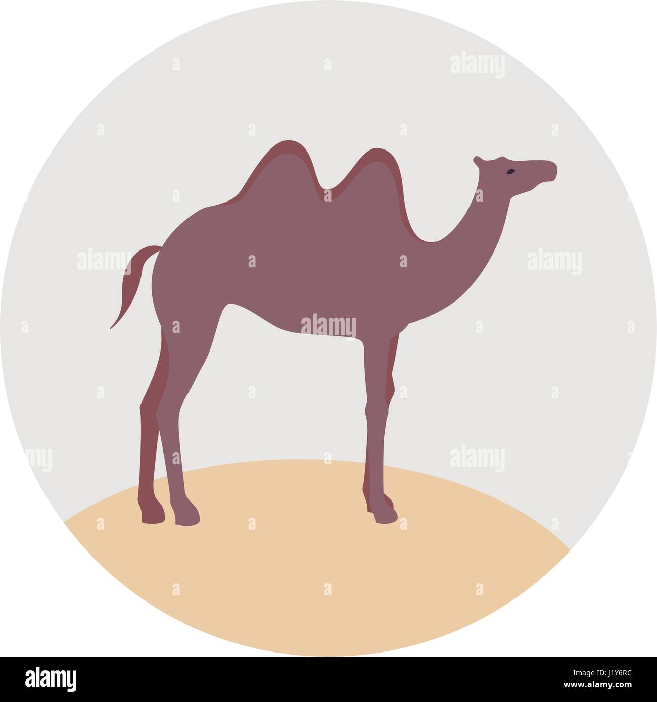 Camel vector sign illustration Stock Vector