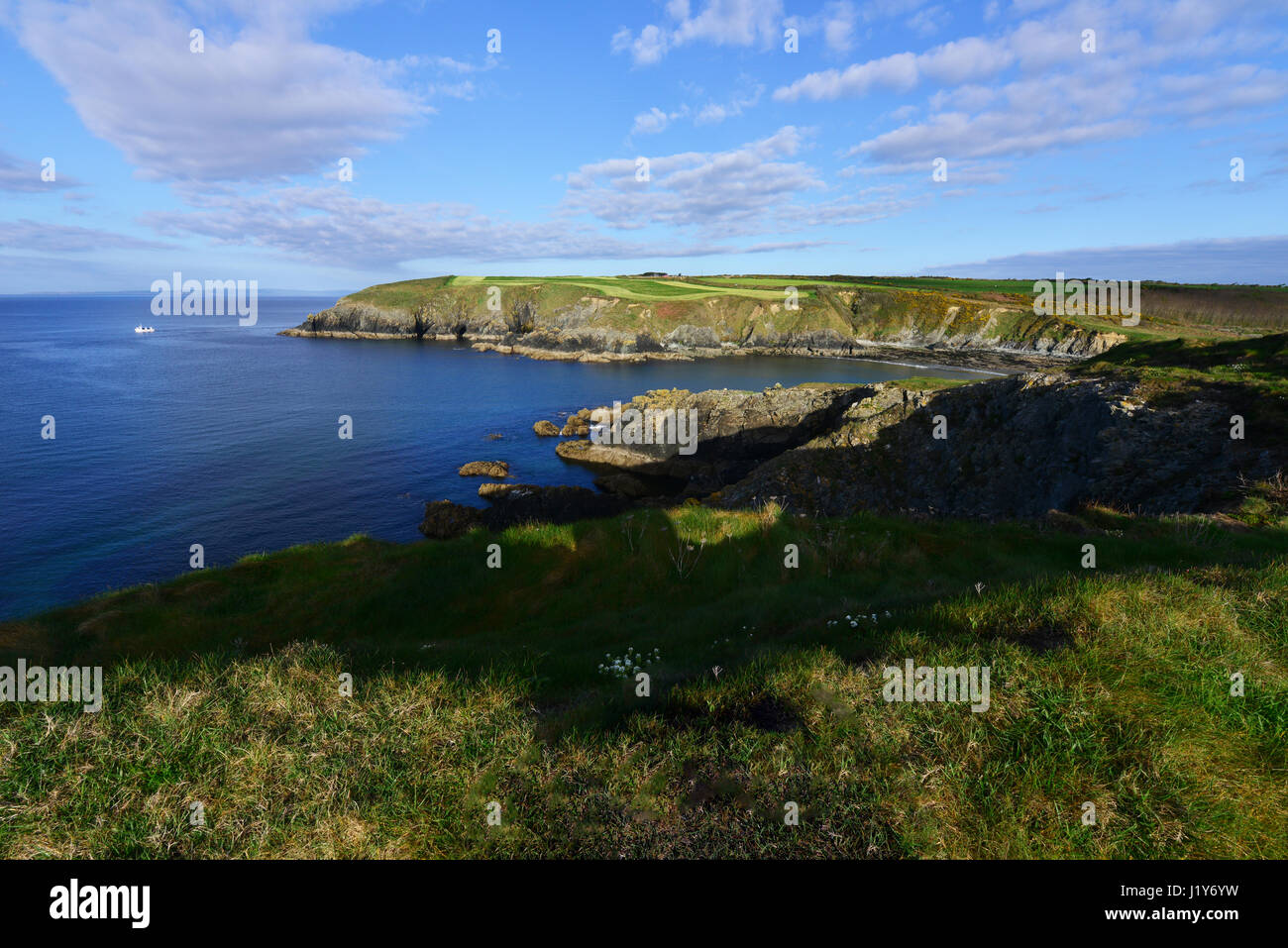 Kilmurrin cliffs in springtime in Ireland Stock Photo - Alamy
