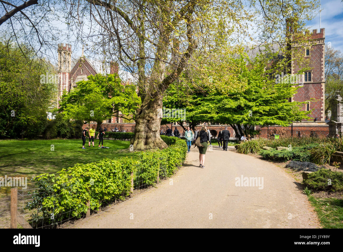 Lincolns inn fields trees hi-res stock photography and images - Alamy
