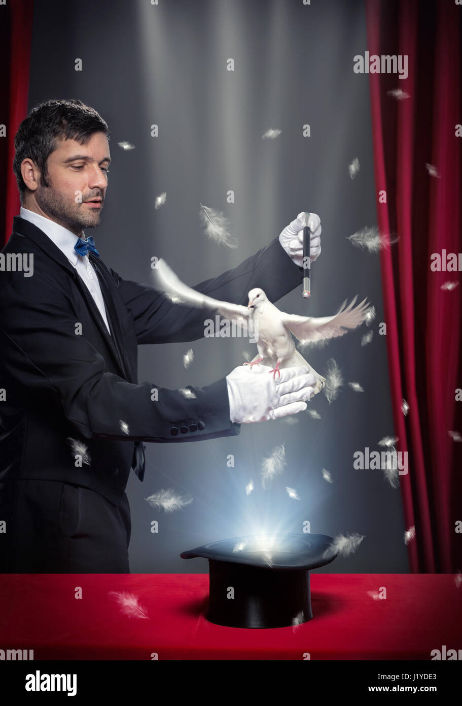 magician performing magic trick with pigeon on theatrical stage Stock