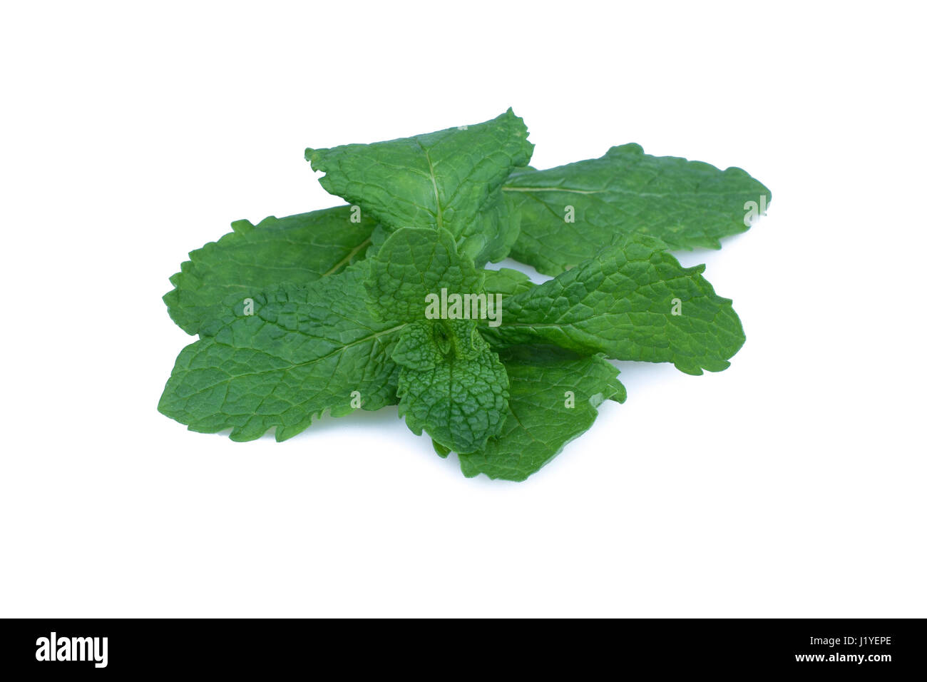 Fresh raw mint leaves isolated on white background Stock Photo - Alamy