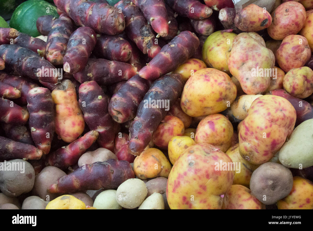 Indigenous Food Crops indigenous-food-crops