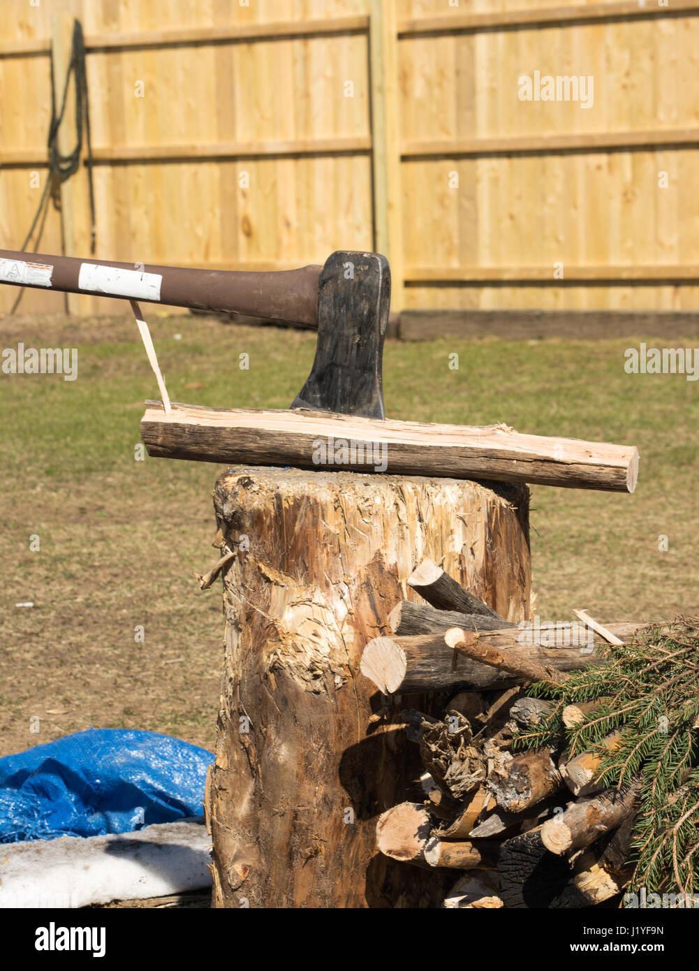axe splitting camp fire wood on a stump Stock Photo Alamy