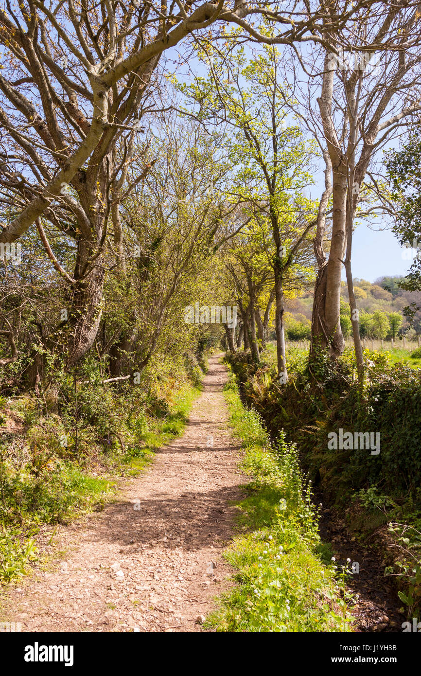 View looking up from Milltown Lane to the bridleway leading up Soldier's Hill, in Sidmouth, Devon, during springtime. Stock Photo