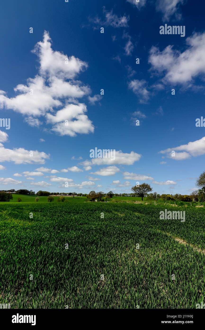 Ashton in Makerfield landscapes April 2017, showing various open space