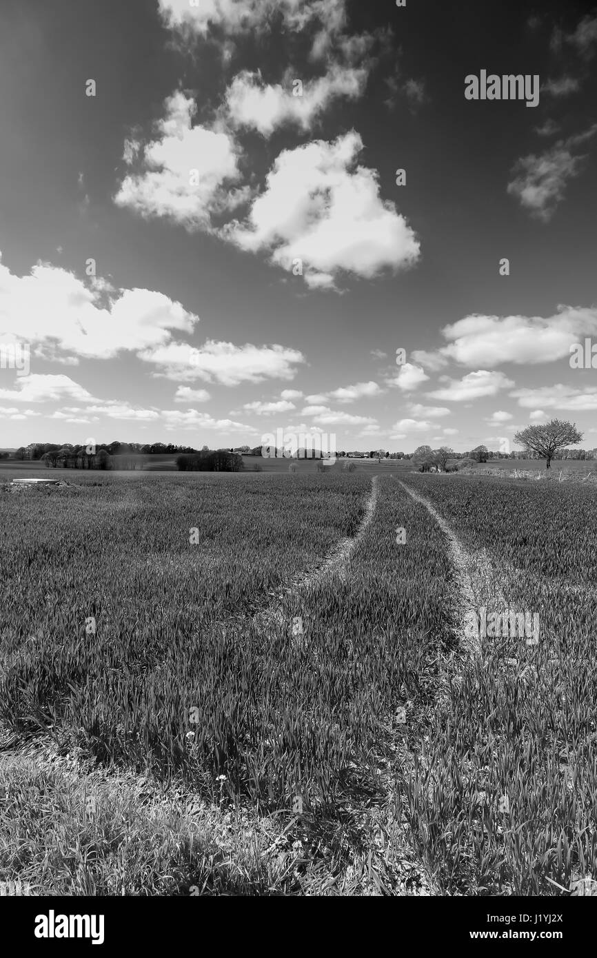 Ashton in Makerfield landscapes April 2017, showing various open space,fields and sky on a sunny day Stock Photo