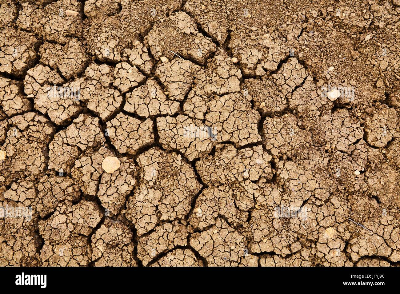 Dry Soil Texture Stock Photo Alamy
