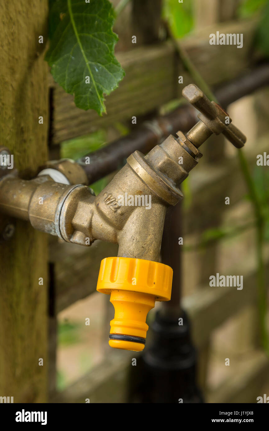 Garden water tap hires stock photography and images Alamy