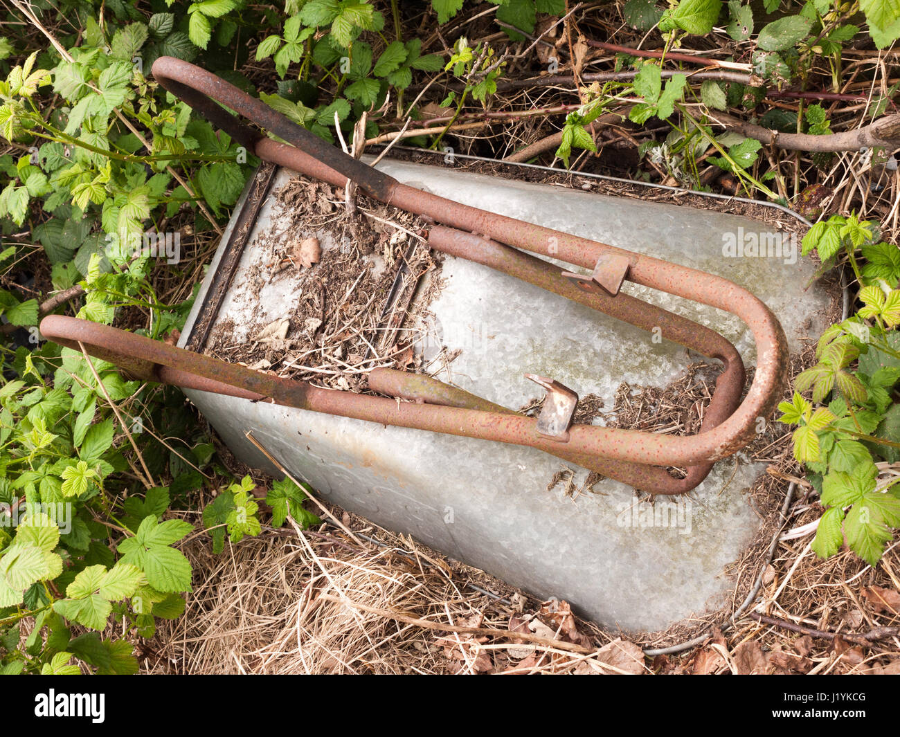 an upside down rusted and discarded thrown away wheel barrow made of metal and decaying on the ground ornament design gardening allotment planting gro Stock Photo