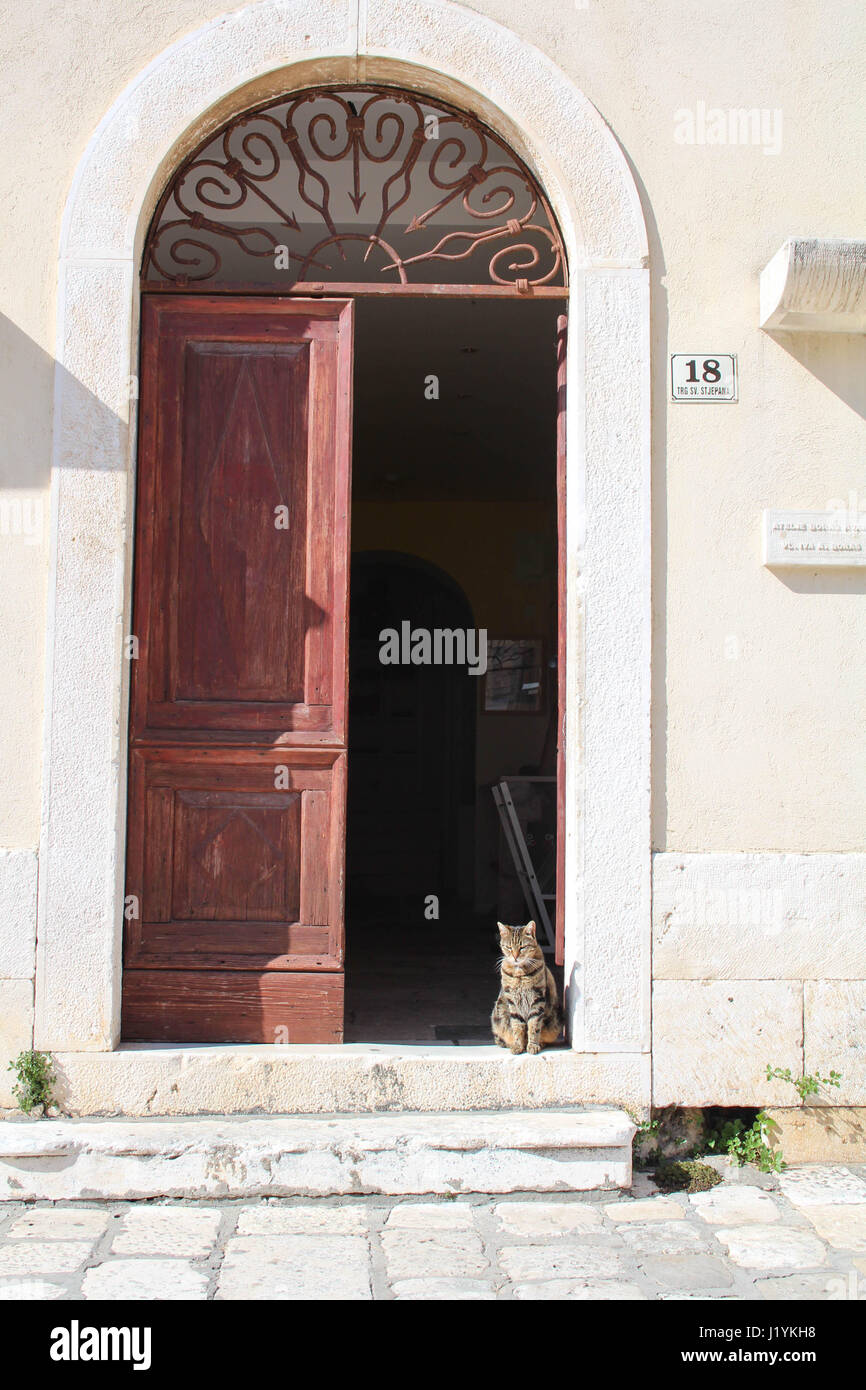 Cute tabby cat sat in stone doorway arch Stock Photo