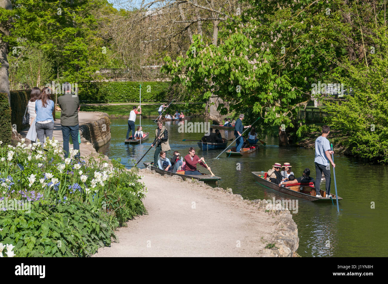 Oxford, Oxfordshire, UK. 22nd Apr, 2017. UK Weather, Oxford, Oxfordshire, UK. 22nd April 2017, People enjoy sunny day in the Oxford Botanic Garden and punting on the River Cherwell Credit: Stanislav Halcin/Alamy Live News Stock Photo