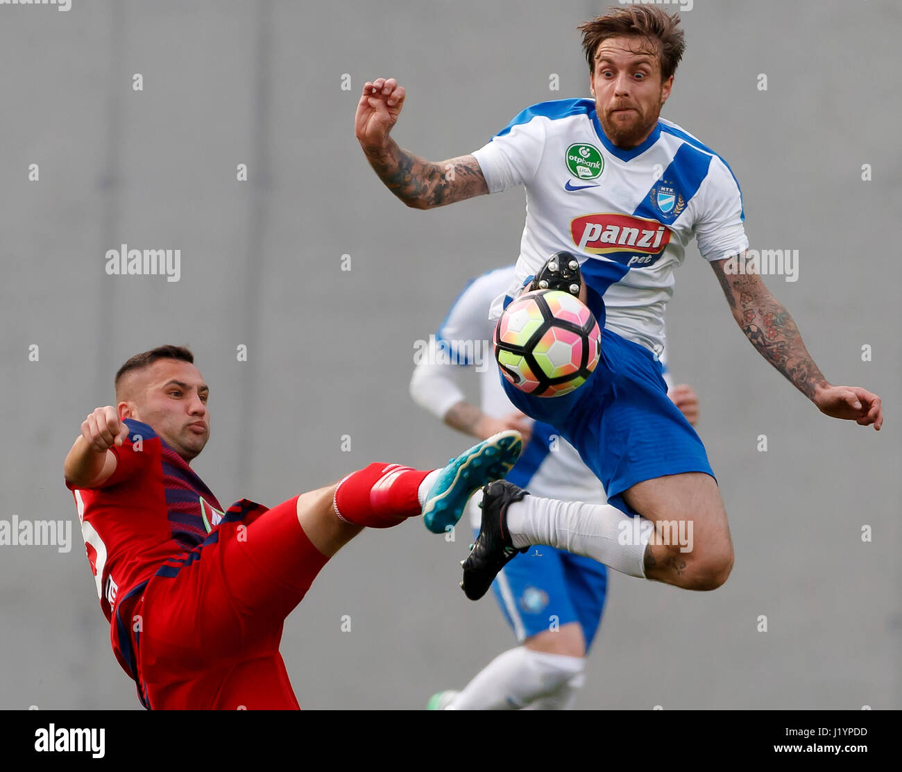 Vass adam hires stock photography and images Alamy