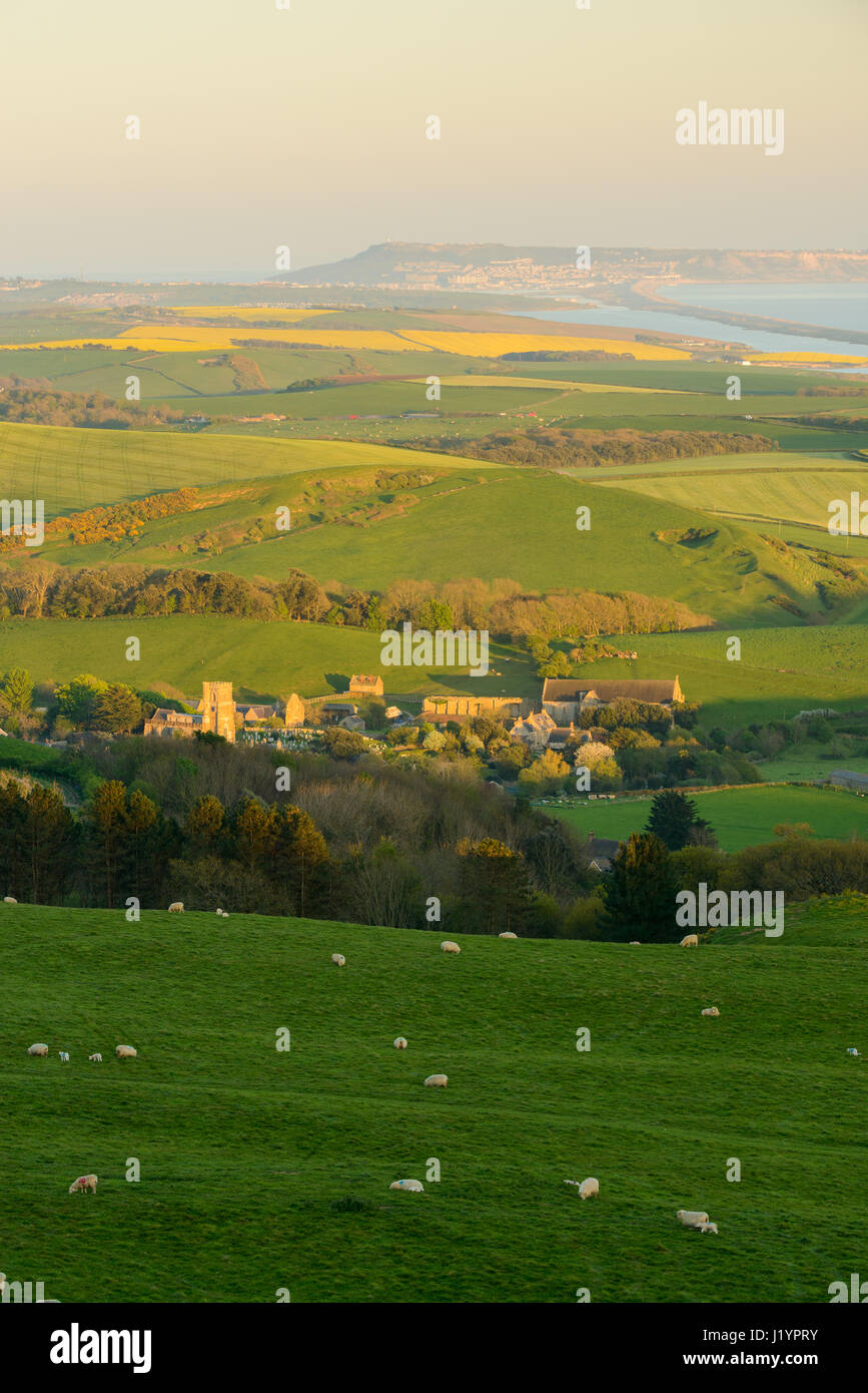 Abbotsbury Hill, Dorset, UK. 22nd Apr, 2017. Beautiful clear and sunny end to the day with low evening sun bathing the village of Abbotsbury. Credit: Dan Tucker/Alamy Live News Stock Photo