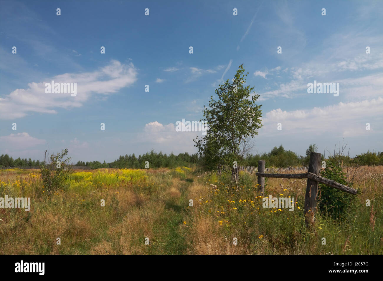 Rural summer scenery of an old fence remains and fields covered in wild flowers Stock Photo