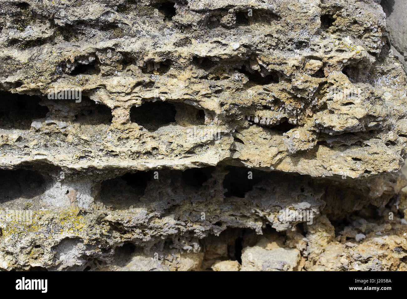 Shell rock building blocks texture or background Stock Photo Alamy