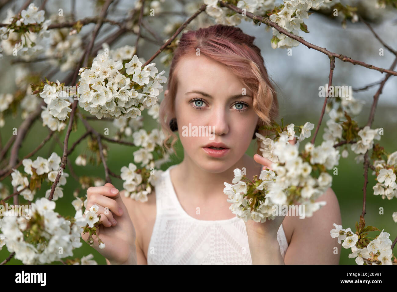 Lizbeth in Cherry Blossom