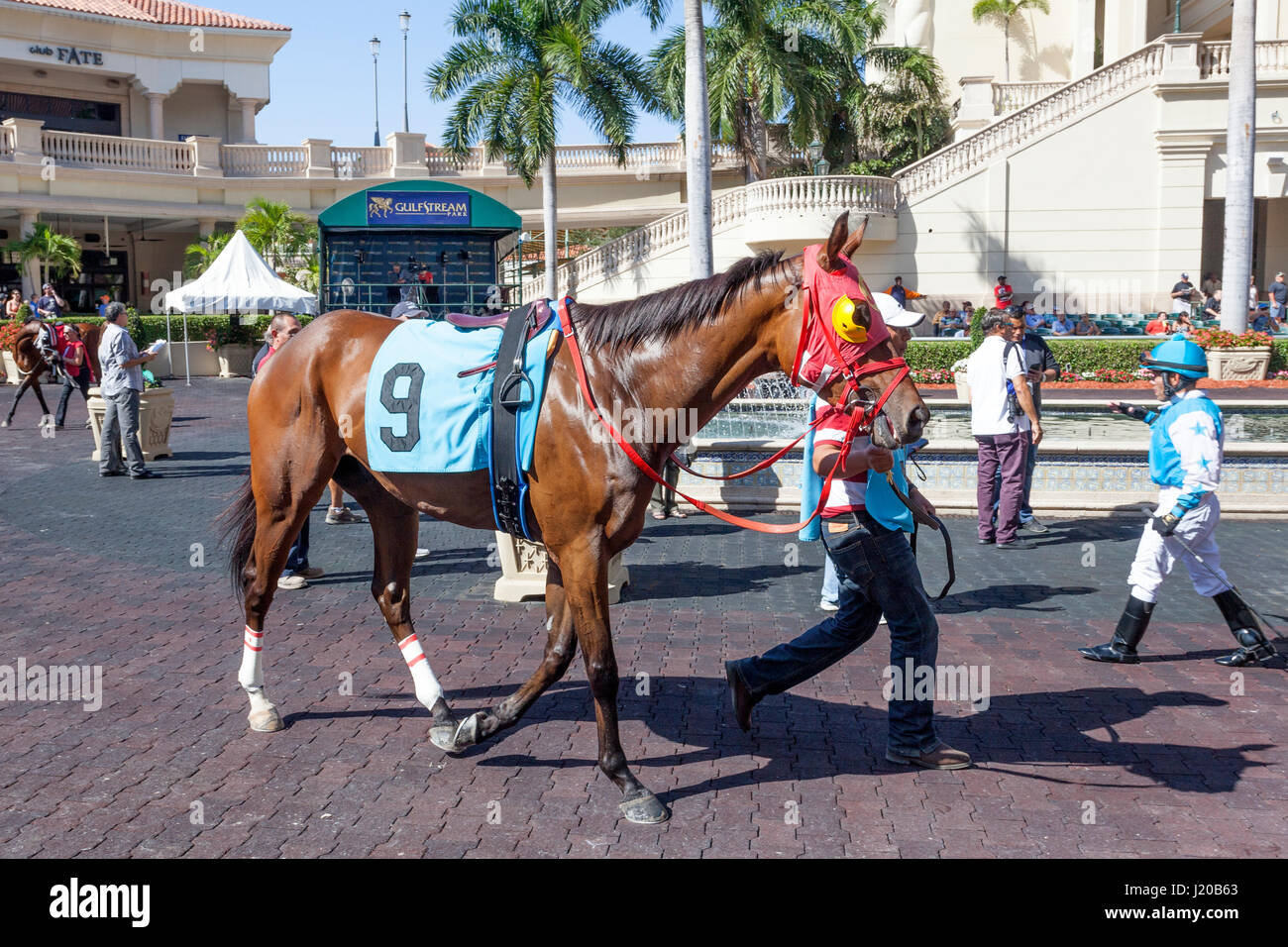 Hallandale Florida Miami,The Village at Gulfstream Park shopping