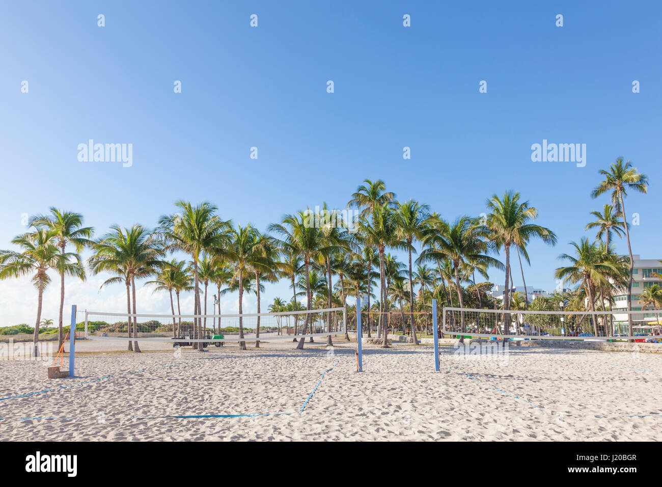 Volleyball courts and palm trees in Miami Beach. Florida, United States Stock Photo