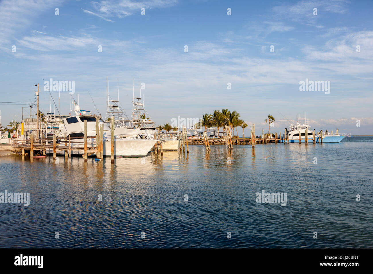 Deep sea fishing boats in the marina of Marathon Key. Florida, United States Stock Photo