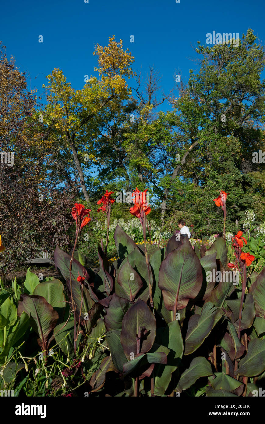 English Garden in the Assiniboine Park, Winnipeg, Manitoba, Canada Stock Photo