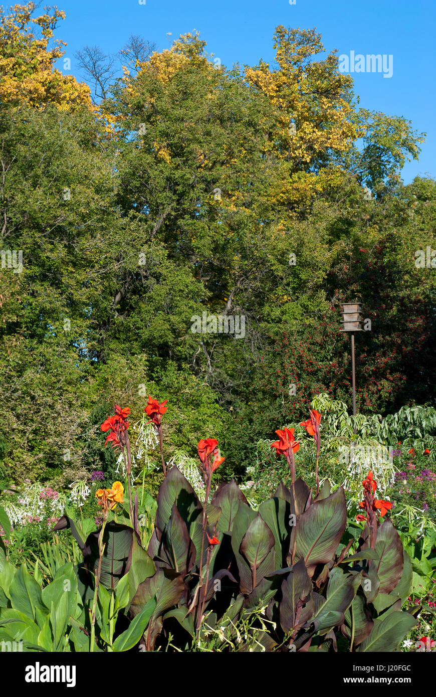 English Garden in the Assiniboine Park, Winnipeg, Manitoba, Canada Stock Photo