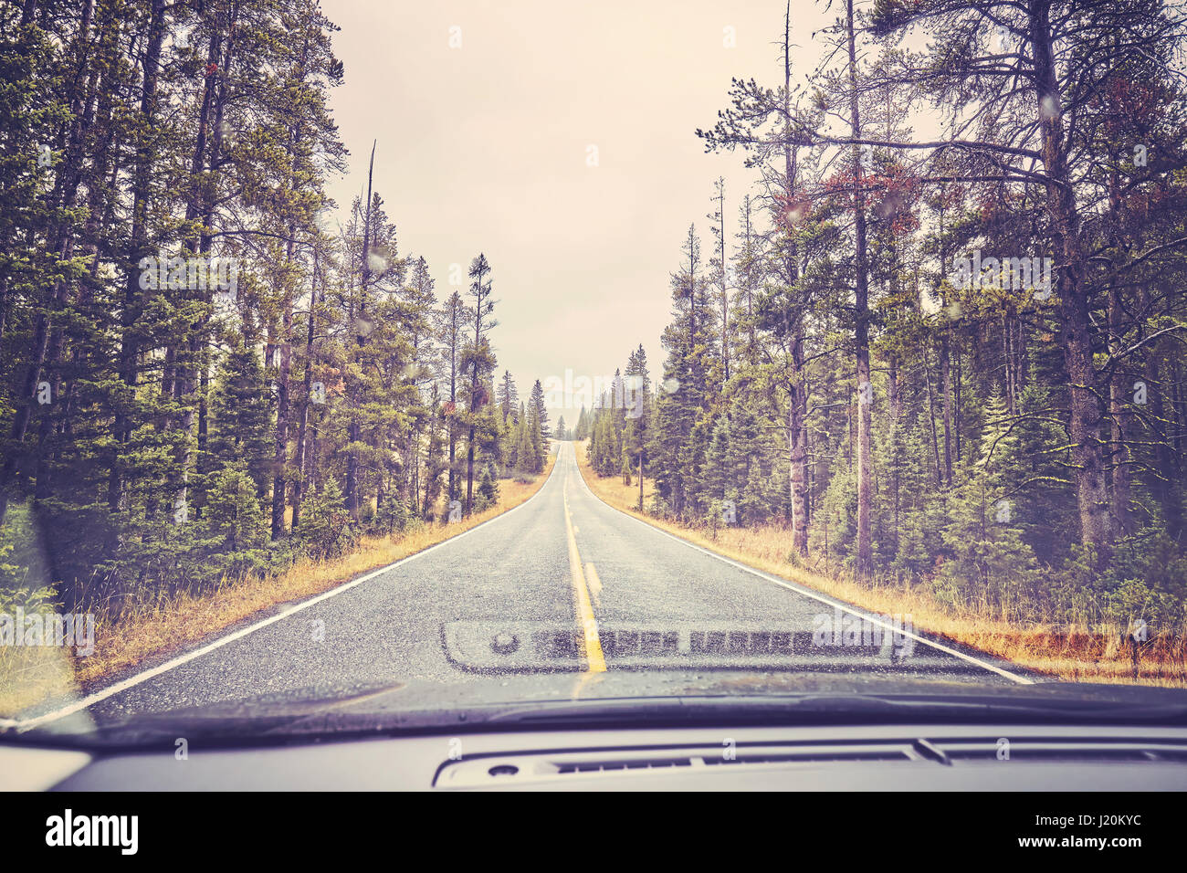 Driving in the rain, picture taken through the windshield, color toning applied, Yellowstone National Park, Wyoming, USA. Stock Photo