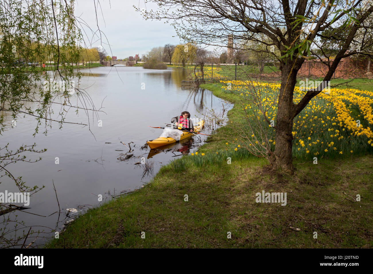 Detroit, Michigan - A volunteer in a kayak picks up trash during a spring cleanup of Belle Isle, a state park on an island in the Detroit River. Stock Photo