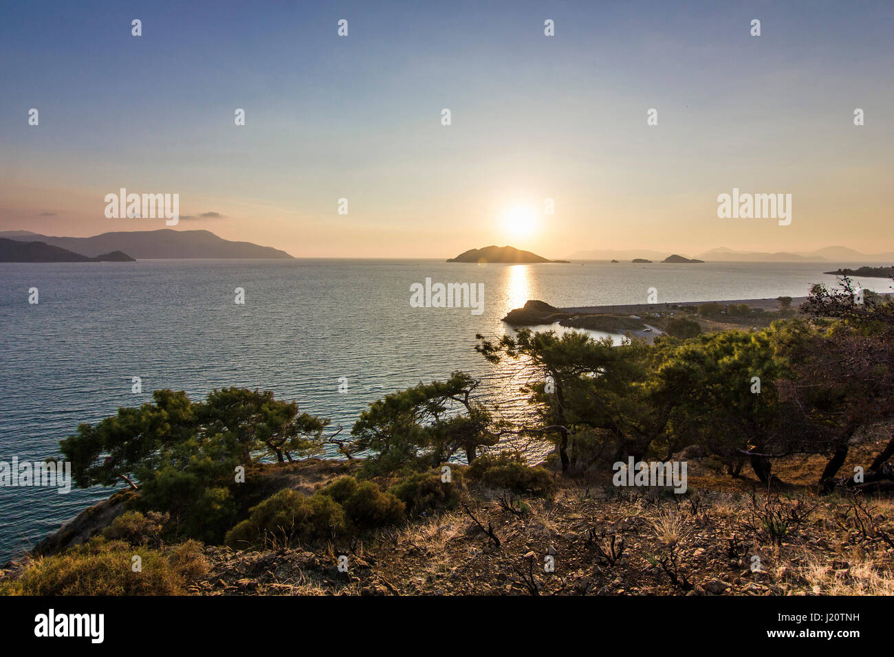 sun shining through leaves of green tree with blue sea on background at sunset Stock Photo