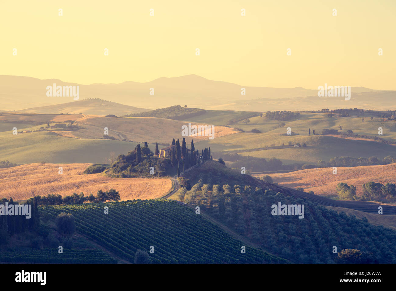 Classic view of scenic Tuscany landscape with famous farmhouse amidst idyllic rolling hills and valleys in beautiful golden morning light at sunrisei Stock Photo
