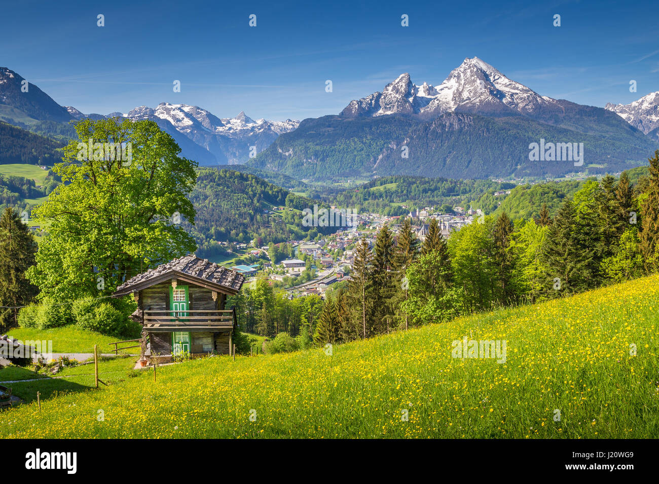 Panoramic view of idyllic mountain scenery in the Alps with traditional old wooden mountain chalet and fresh green blooming meadows in springtime Stock Photo