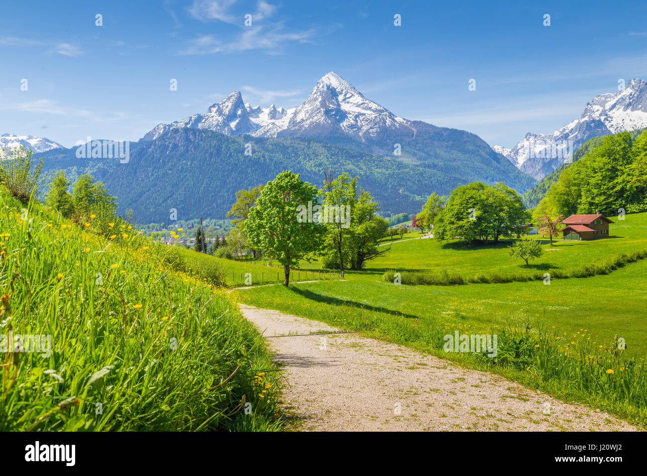 Beautiful view of idyllic mountain scenery in the Alps with hiking trail, fresh green mountain pastures and snow-capped mountain peaks in summer Stock Photo