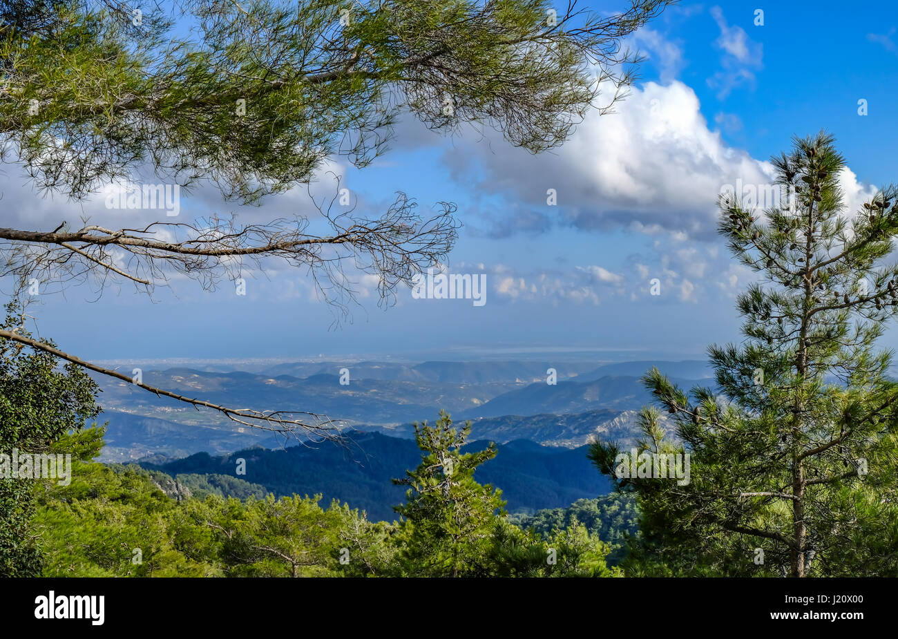 View from the top of Troodos mountain through trees.  Springtime shot on bright sunny day with lovely clouds Stock Photo