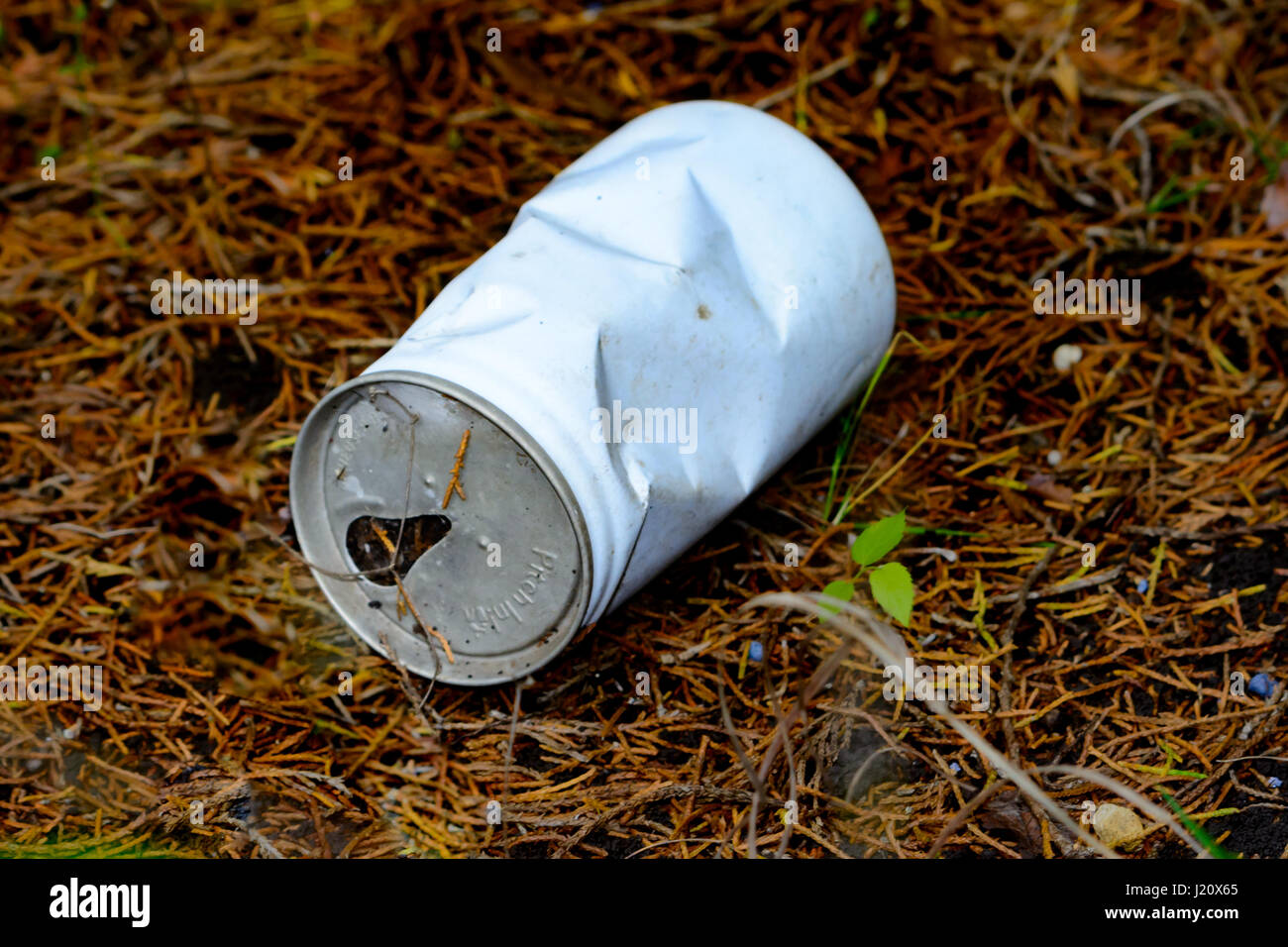 Old beer can with anti-pollution campaign slogan 'Pitch In' on top, lays in the forest floor 40 years later. Stock Photo
