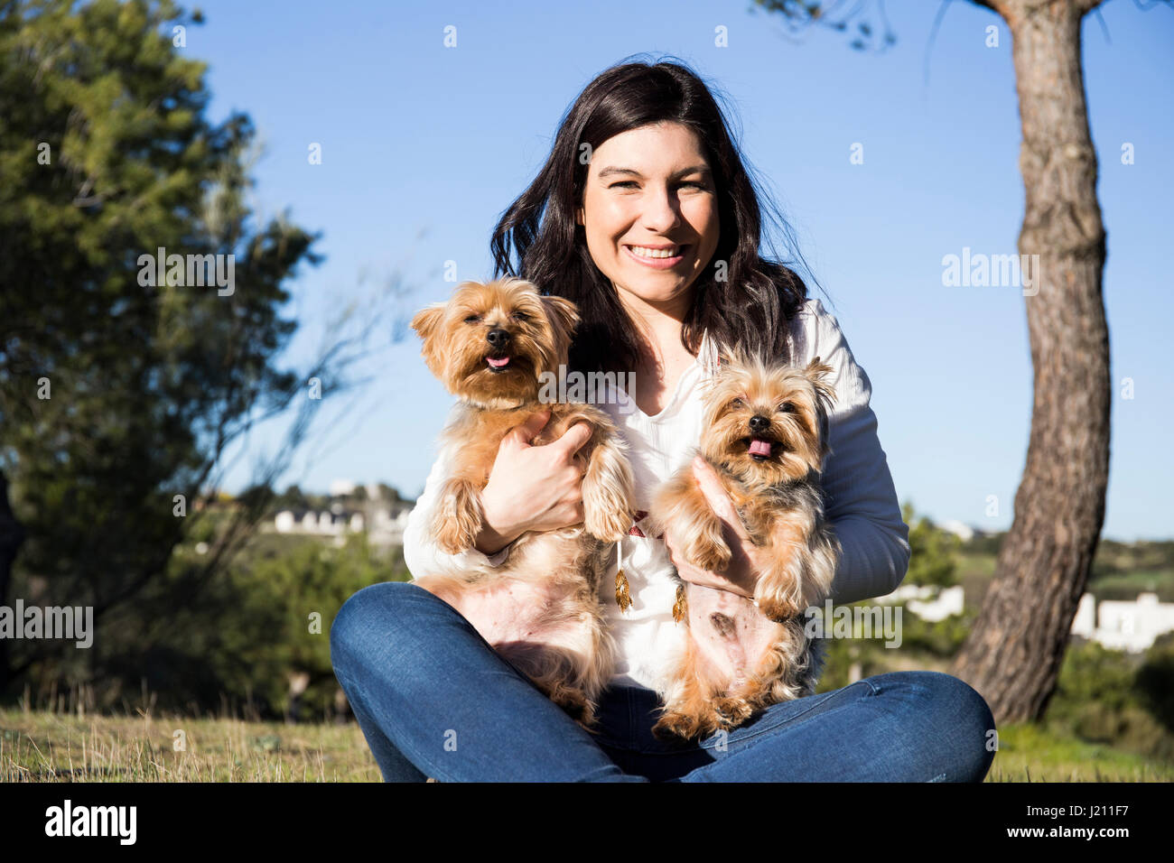 Portrait of happy young woman sitting with her Yorkshire Terriers on a meadow Stock Photo