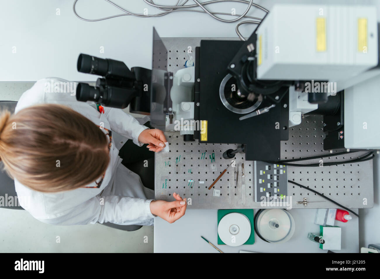 Laboratory technician working in modern lab Stock Photo