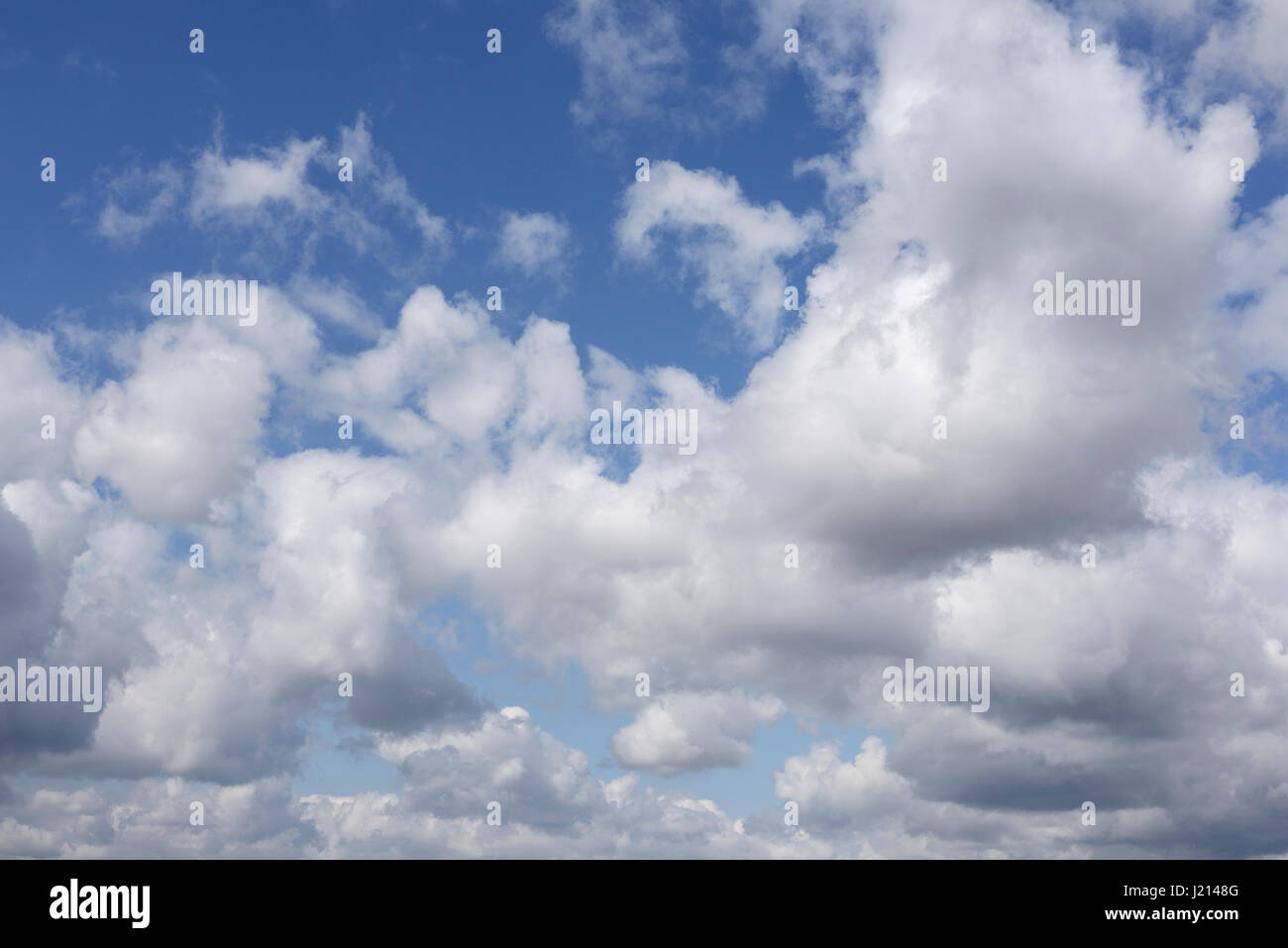 Summer white clouds against a blue sky Stock Photo - Alamy
