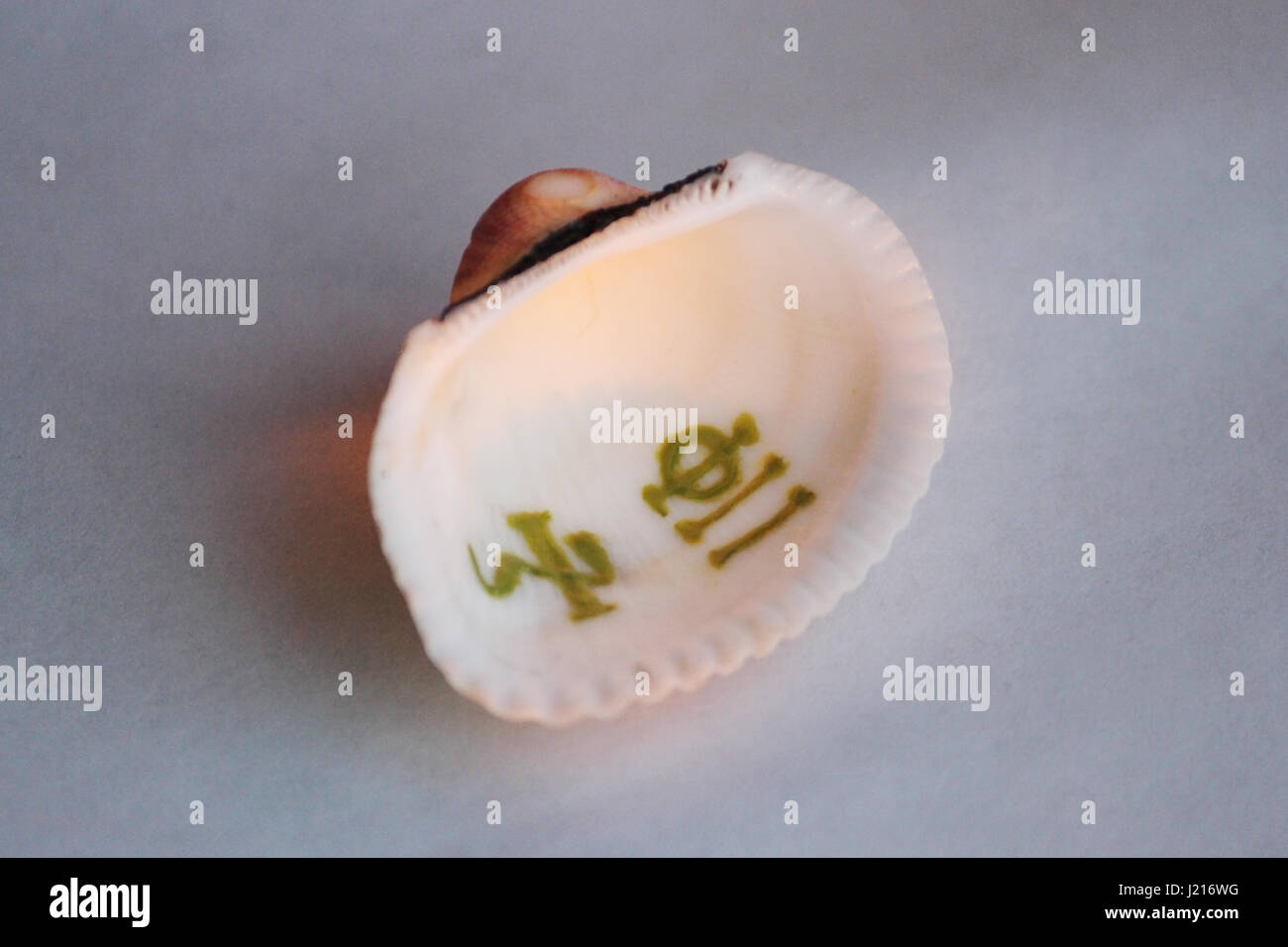 Tahut Bastet, Sigil, painted on the sea shell in the ancient Egyptian ...
