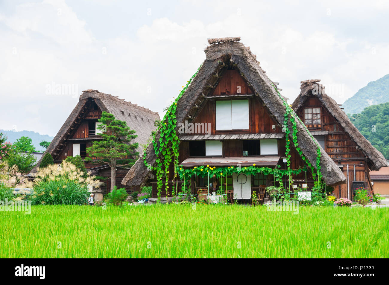 Historical Japanese village Shirakawago in spring season Stock Photo